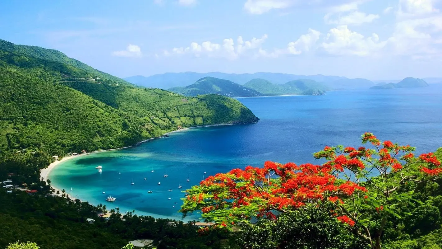 智慧高性能智能